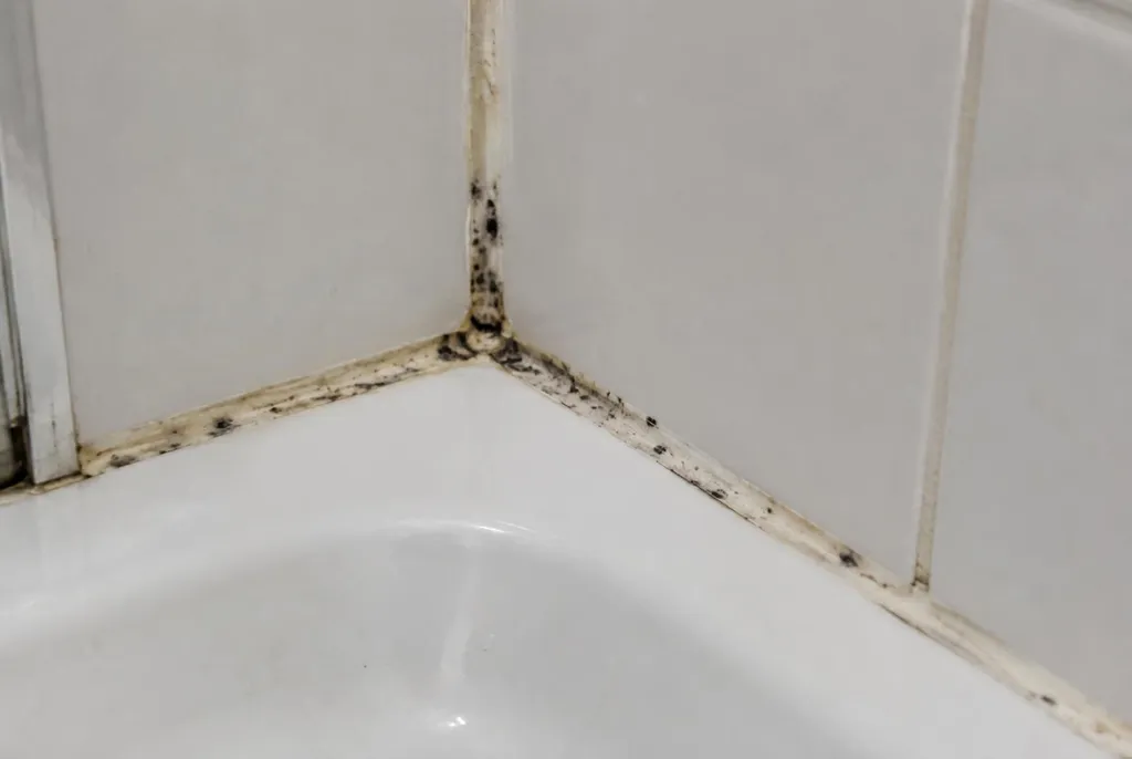 Kitbedrijf Emmeloord – beschimmelde kitranden